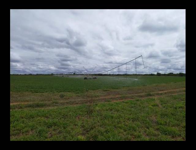 FARM FOR SALE IN MOPANE